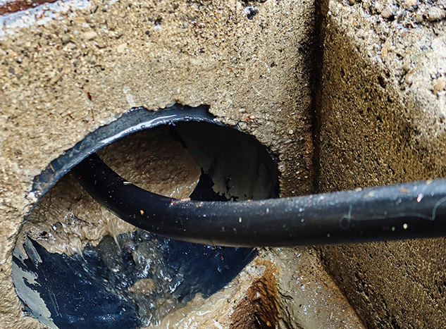 Grease & Fat Build-Up in Blocked Drain